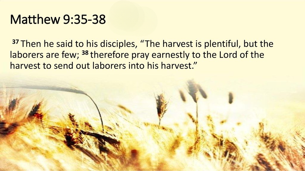 Harvest Is Plentiful InPixio