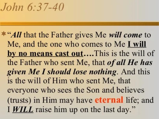 I Shall Lose None InPixio